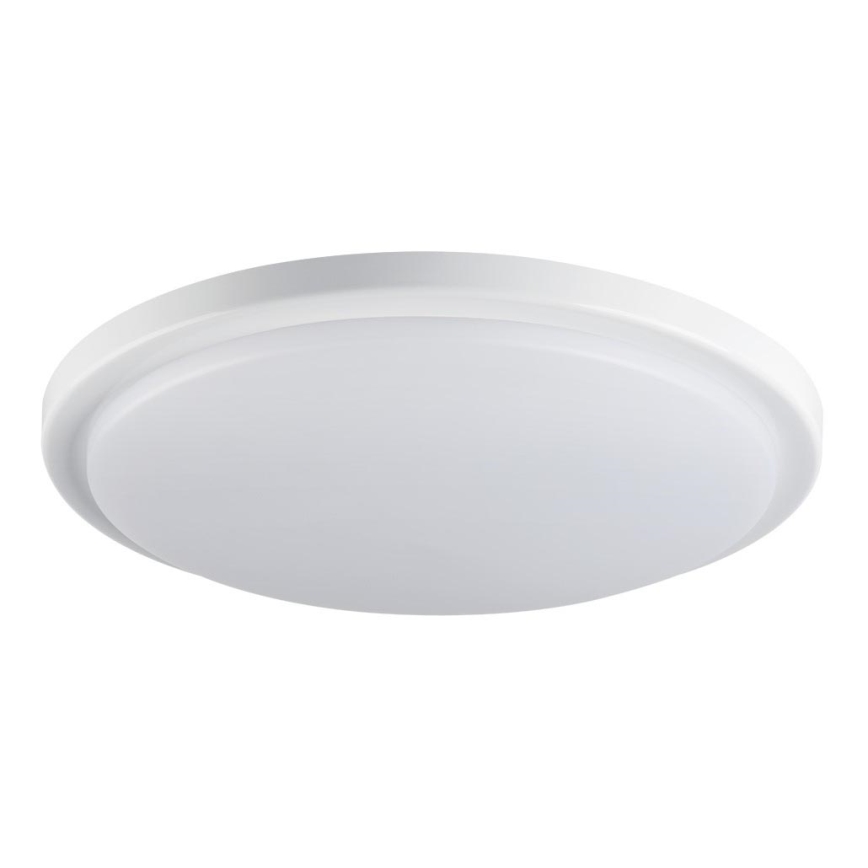 LED badrumstakbelysning  ORTE LED/24W/230V IP54