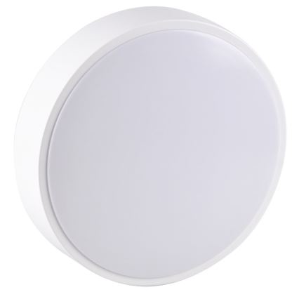 LED badrumstakbelysning  RENE LED/15W/230V IP44 vit