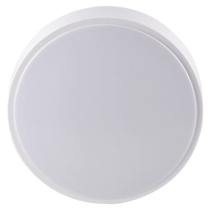 LED badrumstakbelysning  RENE LED/15W/230V IP44 vit