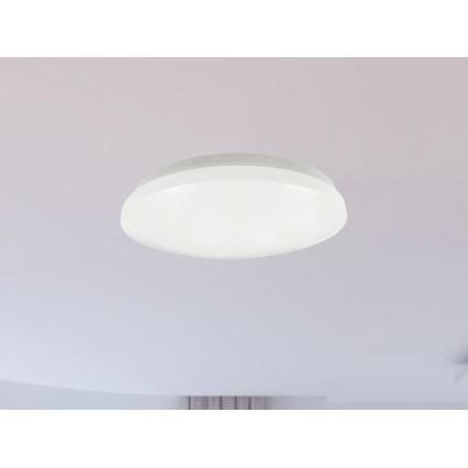 LED badrumstaklampa OPAL LED/12W/230V Ø 24,5 cm IP44 vit