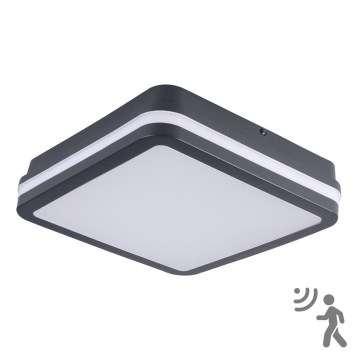 LED belysning med sensor för utomhusbruk BENO LED/18W/230V 4000K IP54 antracit