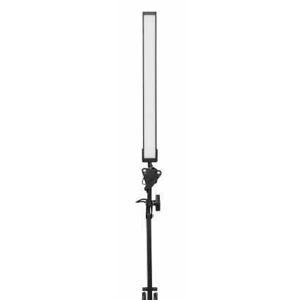 LED bordslampa med klämma LED/10W/230V 2800-6800K