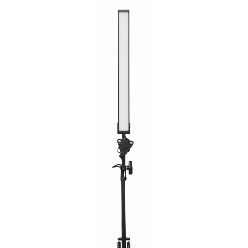 LED bordslampa med klämma LED/10W/230V 2800-6800K