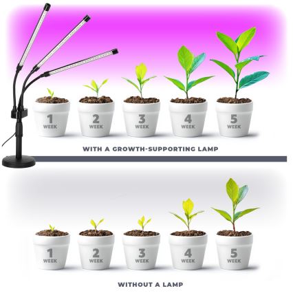 LED Ljusreglerad flexibel bordslampa för att odla växter VITARO 3xLED/10W/230V svart