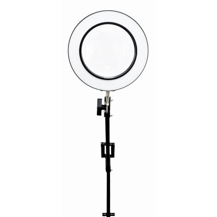 LED Dimbar bordslampa med ett förstoringsglas LED/10W/230V 3000/4500/6000K