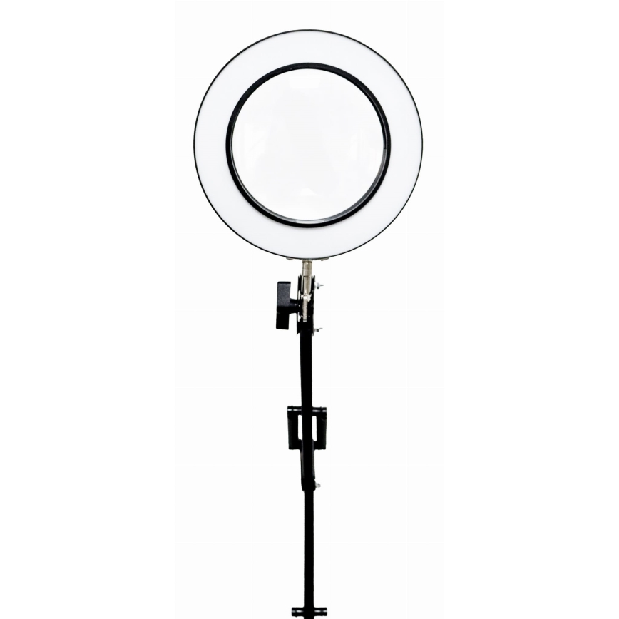 LED Dimbar bordslampa med ett förstoringsglas LED/10W/230V 3000/4500/6000K