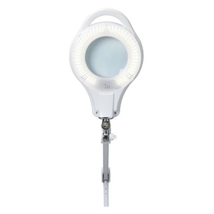 LED Dimbar bordslampa med förstoringsglas LED/10W/230V vit