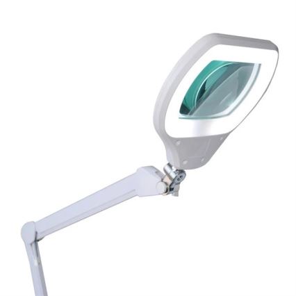 LED Dimbar bordslampa med förstoringsglas LED/12W/230V vit