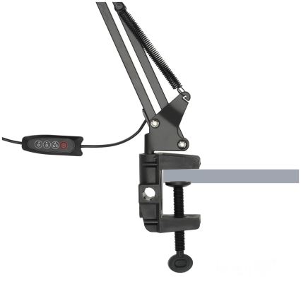 LED Dimbar bordslampa TENUIX DUO 2xLED/14W/230V 3000-6000K