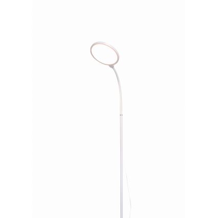 LED Dimbar golvlampa 2i1 LED/10W/230V vit