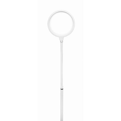 LED Dimbar golvlampa 2i1 LED/10W/230V vit