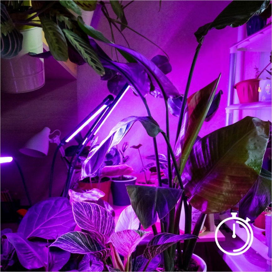 LED Ljusreglerad flexibel golvlampa för att odla växter VITARO 4xLED/7,5W/230V svart
