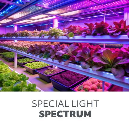 LED Ljusreglerad flexibel golvlampa för att odla växter VITARO 4xLED/7,5W/230V svart