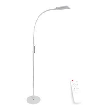 LED Dimbar golvlampa LED/9W/230V 3000-6500K vit + fjärrkontroll
