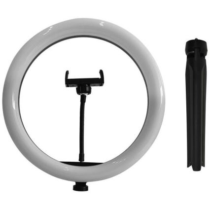 LED Dimbar lampa med stativ och hållare för vloggning LED/10W/5V 3200-5500K