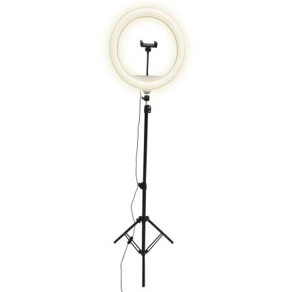 LED Dimbar lampa med stativ och hållare för vloggning LED/15W/5V 2700-6500K