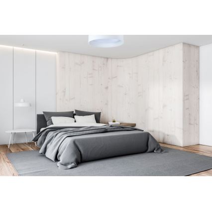 LED Dimbar lampa SMART GALAXY LED/24W/230V diameter 45 cm Wi-Fi Tuya + fjärrkontroll