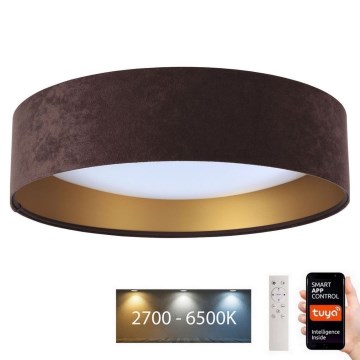 LED Dimbar lampa SMART GALAXY LED/36W/230V diameter 55 cm Wi-Fi Tuya + fjärrkontroll