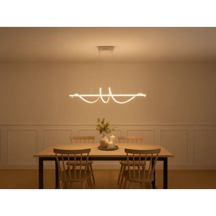 LED dimbar pendellampa på vajer LED/50W/230V 3000-6500K 100 cm + fjärrkontroll