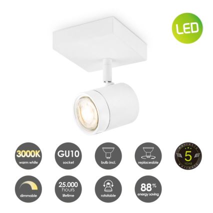 LED Dimbar spotlight MANU 1xGU10/5,8W/230V vit