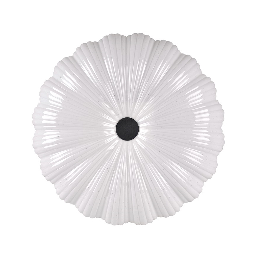 LED Dimbar Takbelysning blomma LED/36W/230V + Fjärrkontroll 