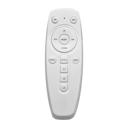 LED Dimbar Takbelysning FLORANCE 2xLED/30W/230V