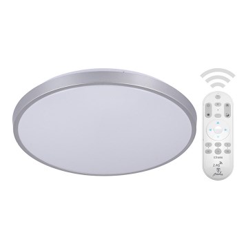 LED Dimbar Takbelysning OPAL LED/24W/230V