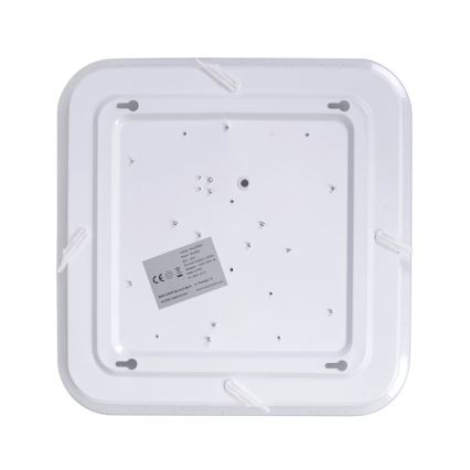 LED Dimbar Takbelysning PALERMO LED/40W/230V