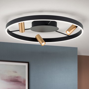 LED Dimbar taklampa BERLIN LED/50W/230V svart/guld