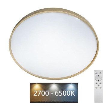 LED Dimbar taklampa DRINA LED/36W/230V 2700-6500K diameter 50 cm + fjärrkontroll