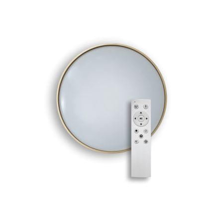 LED Dimbar taklampa DRINA LED/36W/230V 2700-6500K diameter 50 cm + fjärrkontroll
