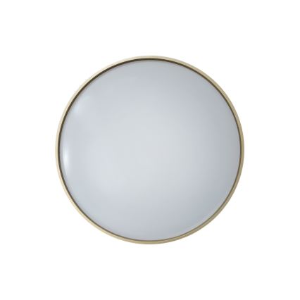 LED Dimbar taklampa DRINA LED/36W/230V 2700-6500K diameter 50 cm + fjärrkontroll