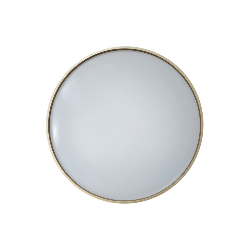 LED Dimbar taklampa DRINA LED/36W/230V 2700-6500K diameter 50 cm + fjärrkontroll