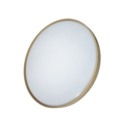 LED Dimbar taklampa DRINA LED/36W/230V 2700-6500K diameter 50 cm + fjärrkontroll