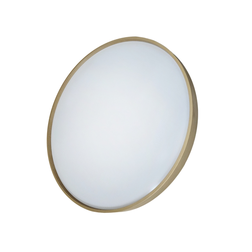 LED Dimbar taklampa DRINA LED/36W/230V 2700-6500K diameter 50 cm + fjärrkontroll