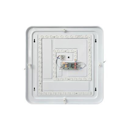 LED Dimbar taklampa FLORA LED/36W/230V 2700-6500K 43x43 cm + fjärrkontroll