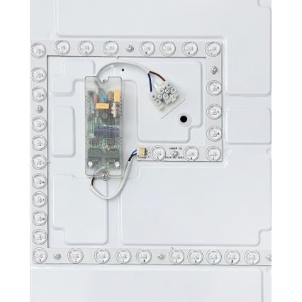 LED Dimbar taklampa FLORA LED/60W/230V 2700-6500K 53x53 cm + fjärrkontroll