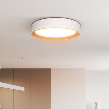 LED Dimbar taklampa LARIOS LED/48W/230V 3000-6500K diameter 39 cm vit + fjärrkontroll