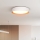 LED Dimbar taklampa LARIOS LED/48W/230V 3000-6500K diameter 39 cm vit + fjärrkontroll
