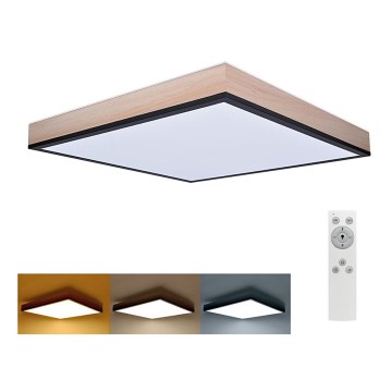 LED Dimbar taklampa LED/40W/230V 3000-6500K + fjärrkontroll