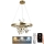 LED Dimbar taklampa LED/40W/230V 3000-6500K guld + fjärrkontroll