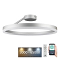 LED Dimbar taklampa LED/40W/230V 3000-6500K matt krom + fjärrkontroll