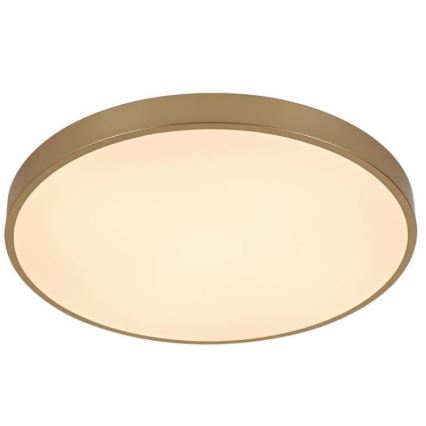 LED Dimbar taklampa LED/48W/230V 2700-6500K Wi-Fi Tuya + fjärrkontroll