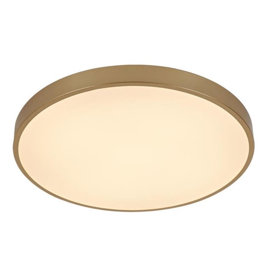 LED Dimbar taklampa LED/48W/230V 2700-6500K Wi-Fi Tuya + fjärrkontroll