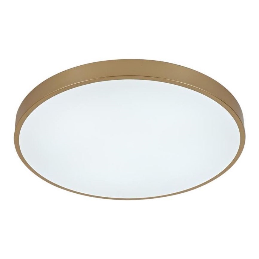 LED Dimbar taklampa LED/48W/230V 2700-6500K Wi-Fi Tuya + fjärrkontroll