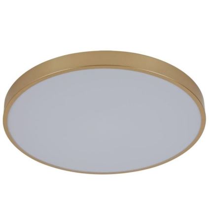 LED Dimbar taklampa LED/48W/230V 2700-6500K Wi-Fi Tuya + fjärrkontroll