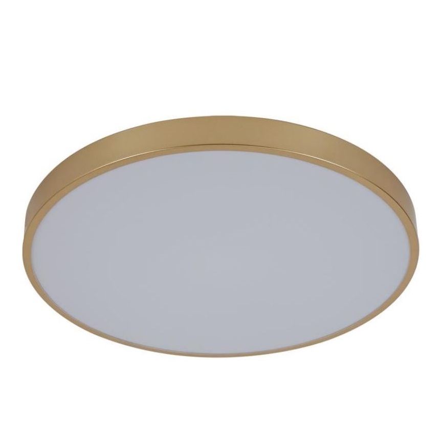 LED Dimbar taklampa LED/48W/230V 2700-6500K Wi-Fi Tuya + fjärrkontroll