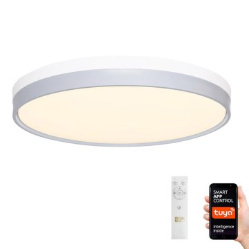 LED Dimbar taklampa LED/48W/230V 2700-6500K Wi-Fi Tuya + fjärrkontroll