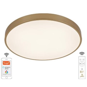 LED Dimbar taklampa LED/48W/230V 2700-6500K Wi-Fi Tuya + fjärrkontroll