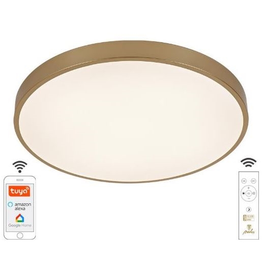 LED Dimbar taklampa LED/48W/230V 2700-6500K Wi-Fi Tuya + fjärrkontroll